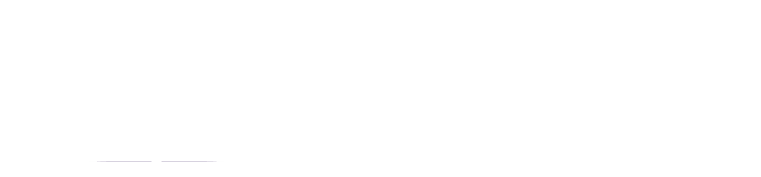 GDczech